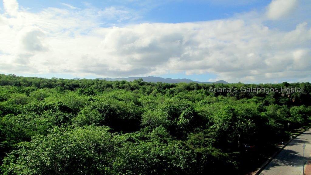 Ariana'S Galapagos Hostal Пуэрто-Айора Экстерьер фото